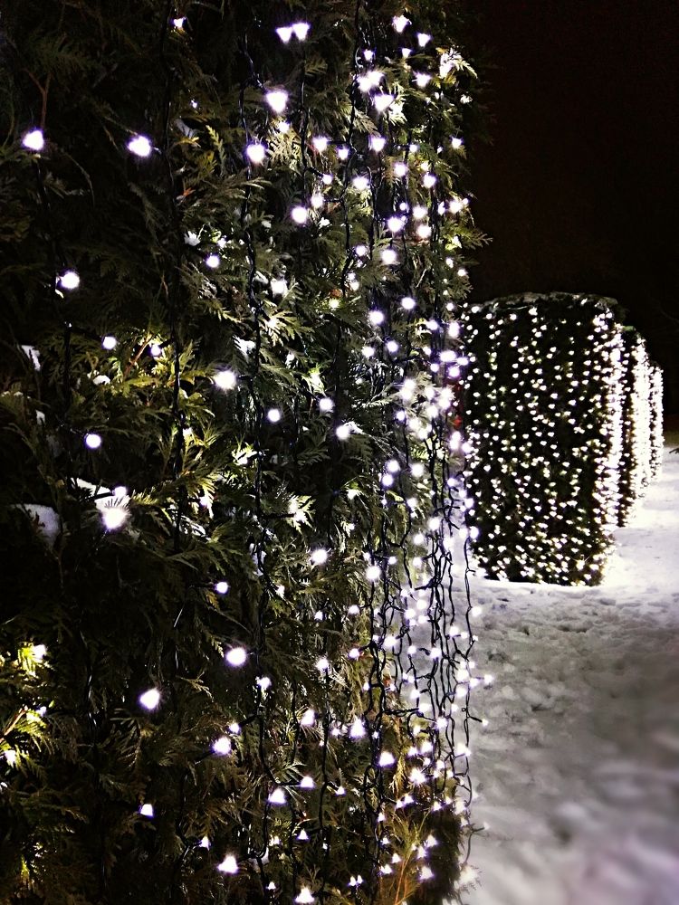 Зимняя перспектива .