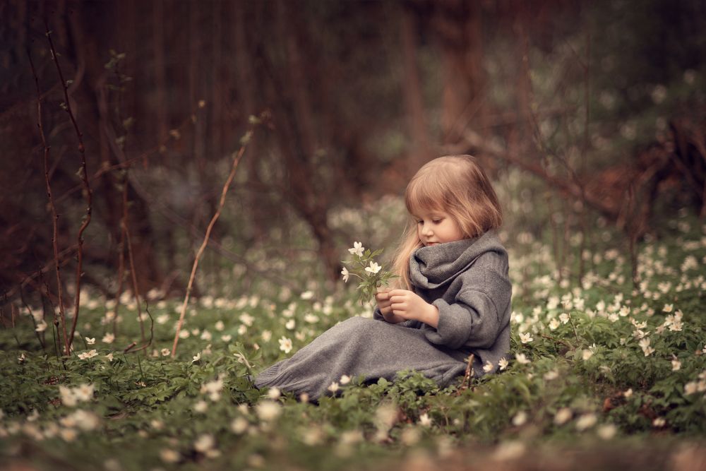 Лесная сказка