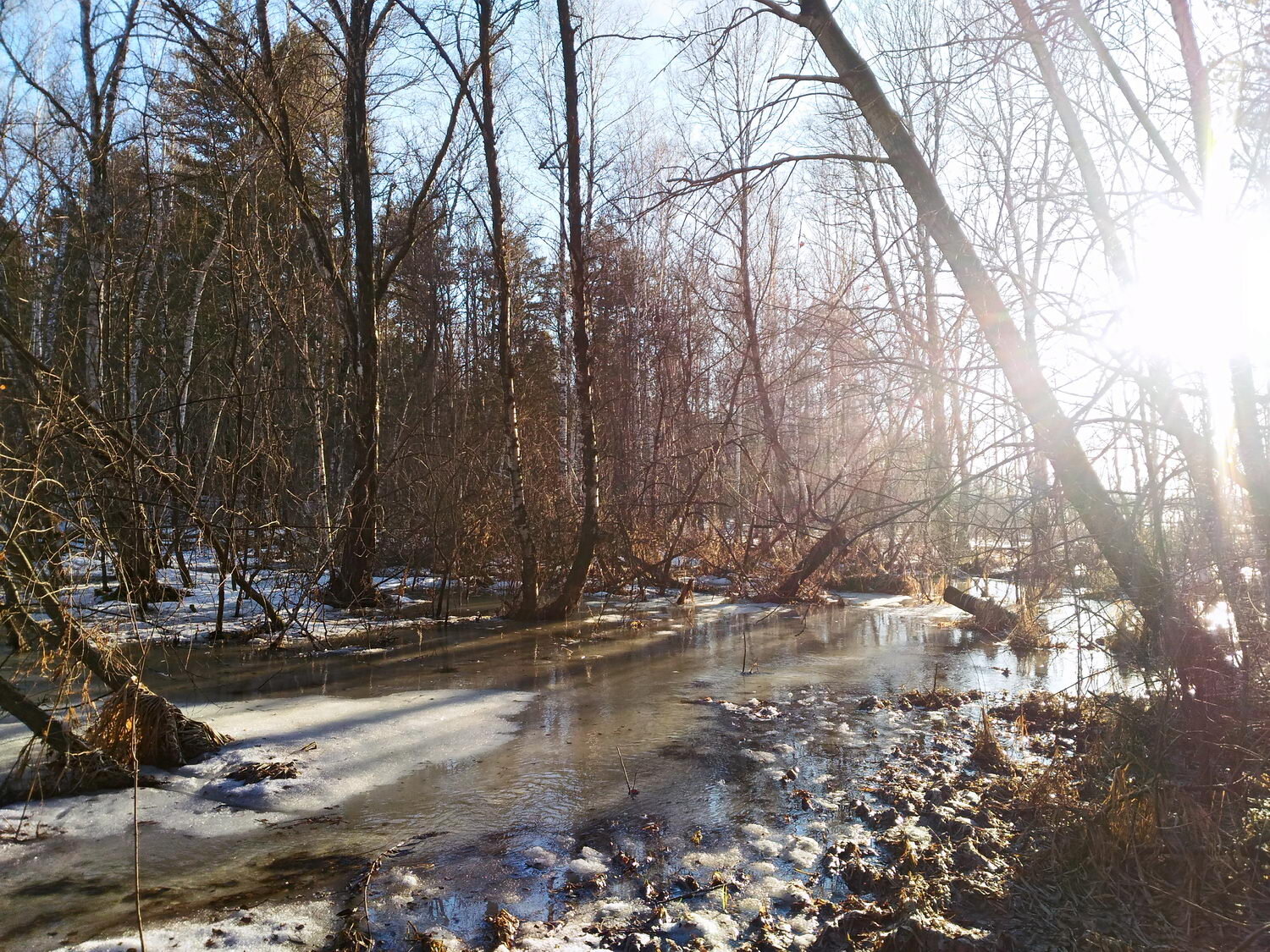 Весна.