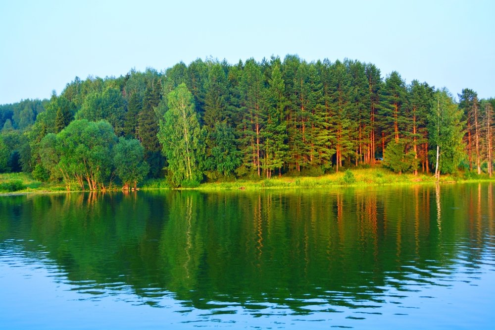 Краски лета