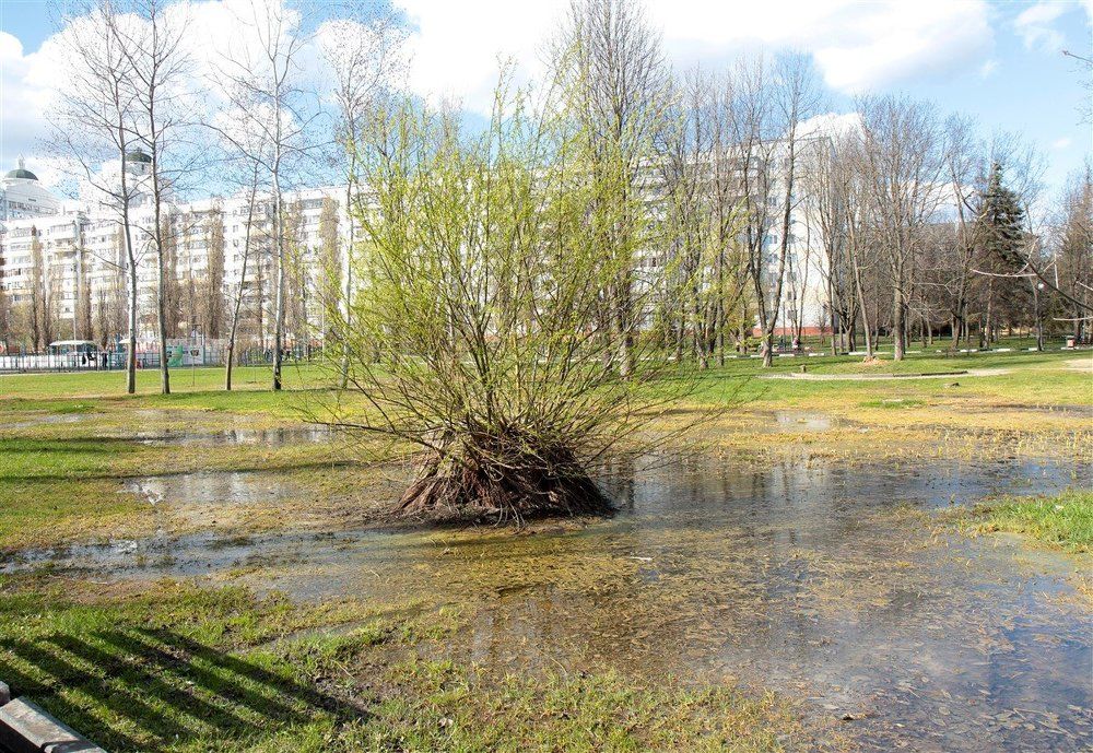 Парк весной