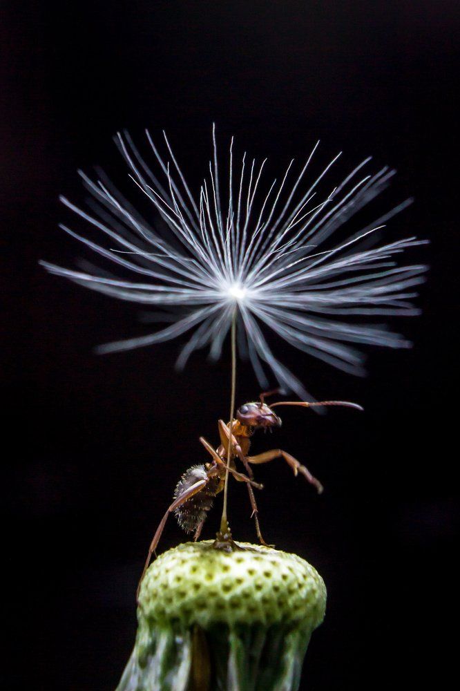 Под зонтиком...