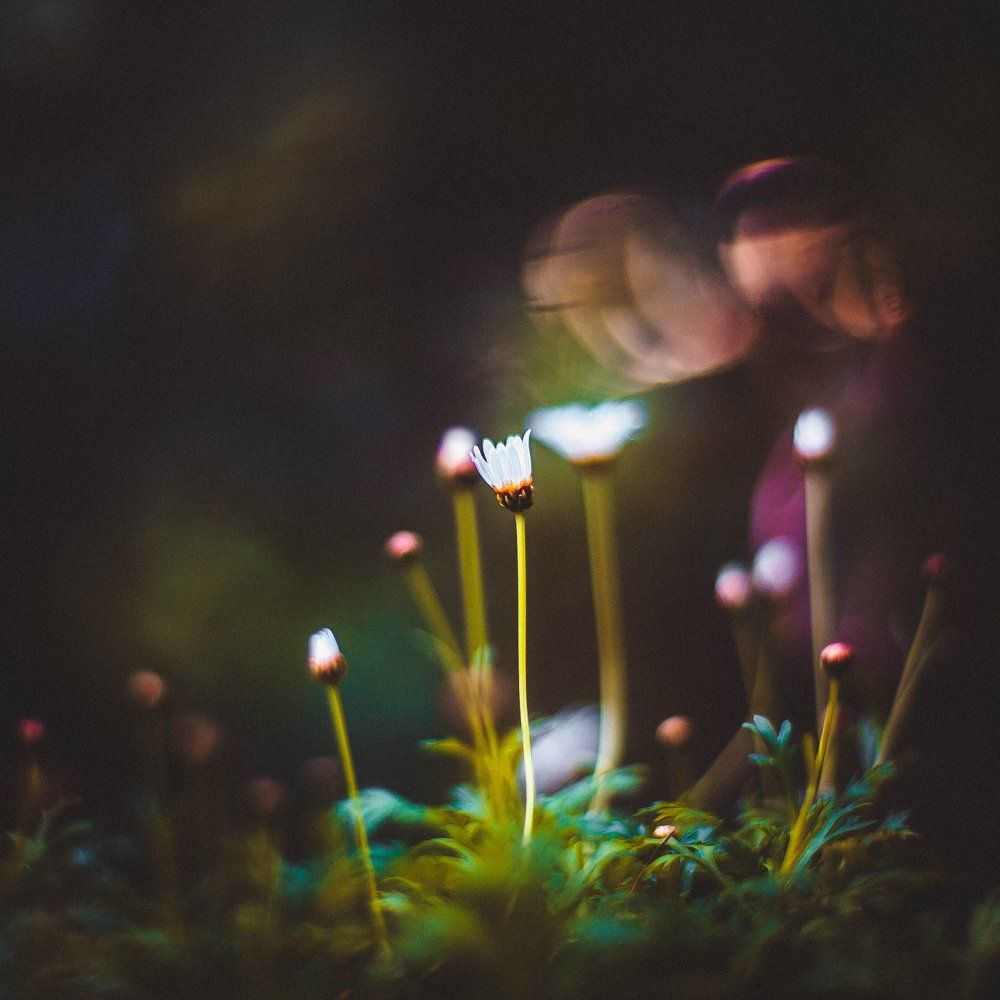 В ботаническом саду