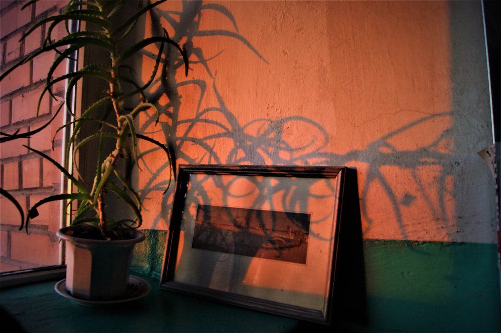 "Натюрморт - 05\17"