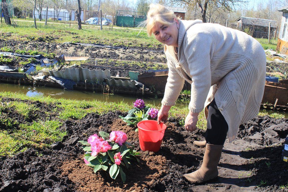 Садовые работы.