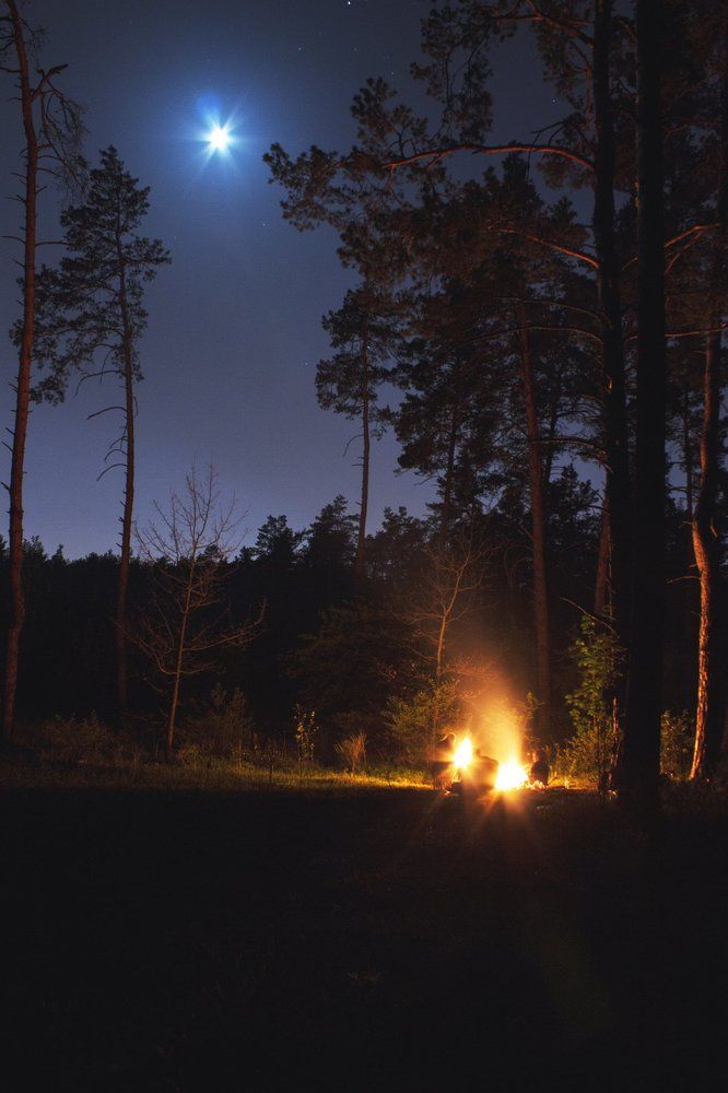 Photograph by Katerina Berezina