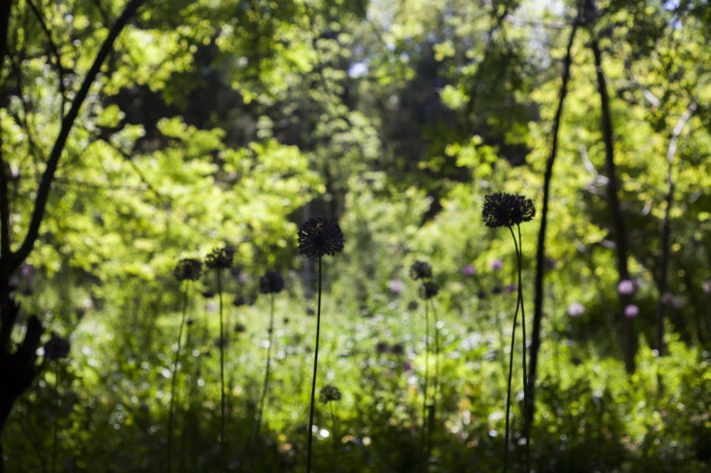 Photograph by Mary Petrova