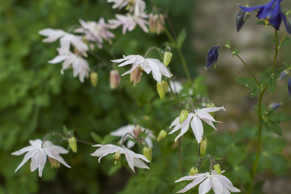 Photograph by Mary Petrova