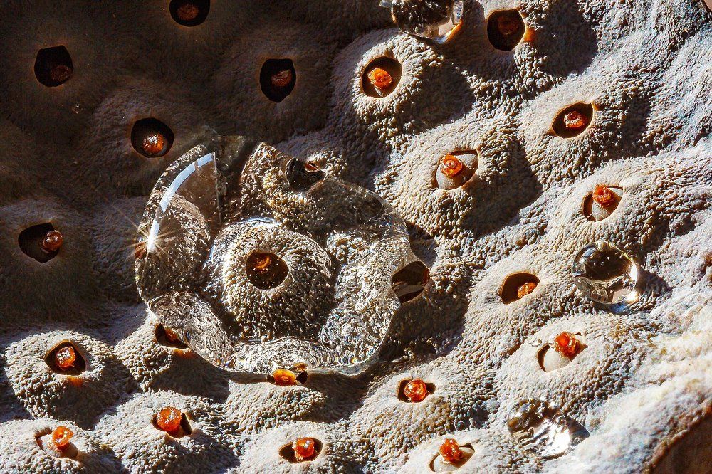 Почти лунный пейзаж