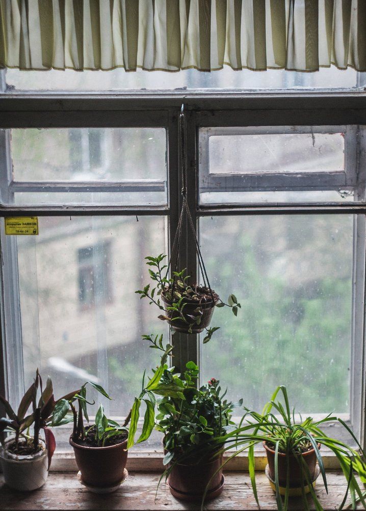 Photograph by Бадаев Антон