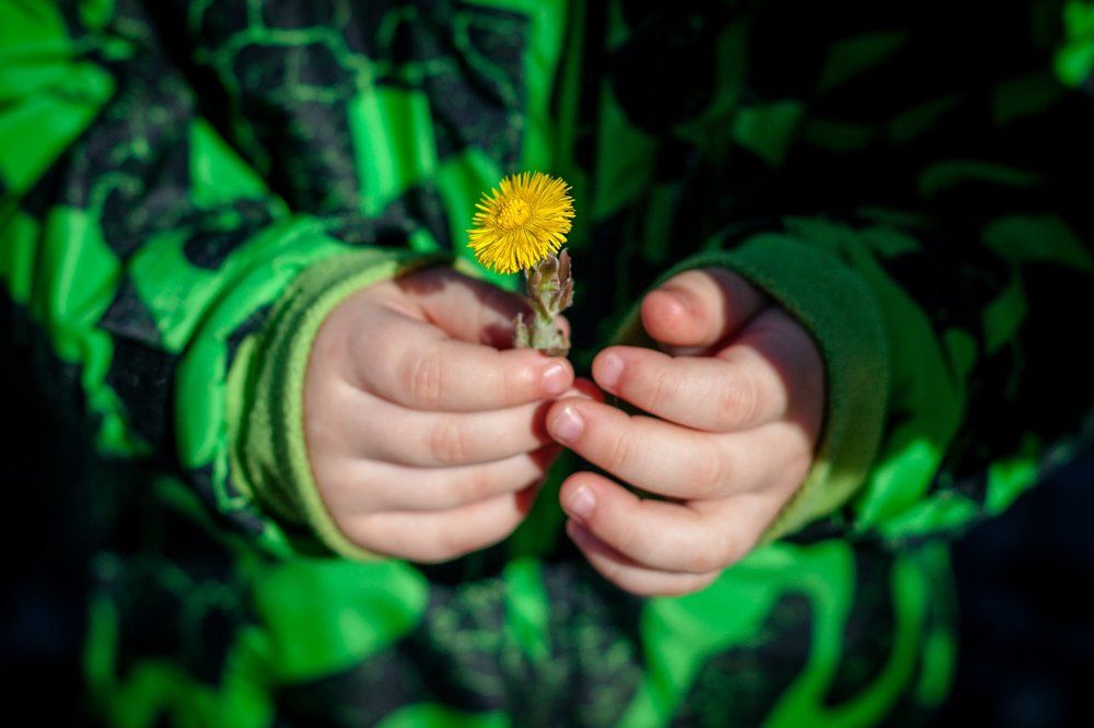 Счастье живет в простых вещах