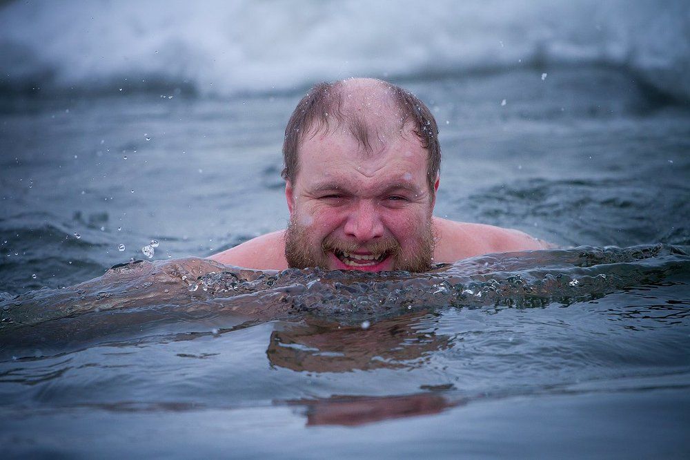 Моржи они такие