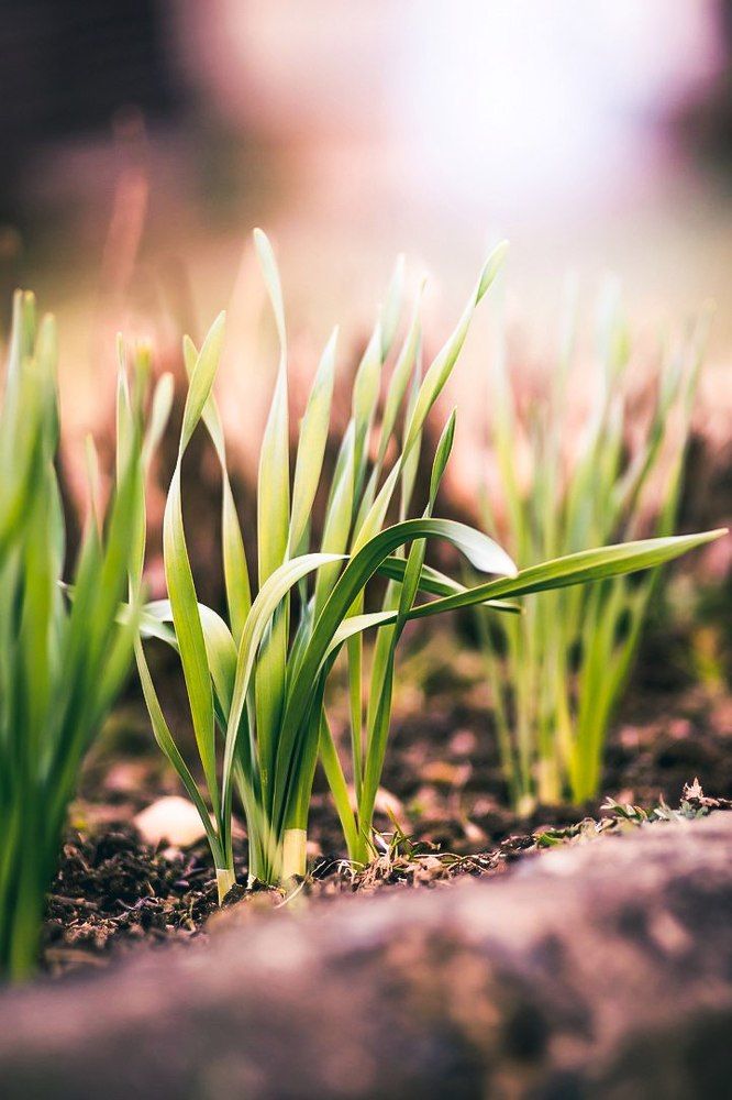 Настроение