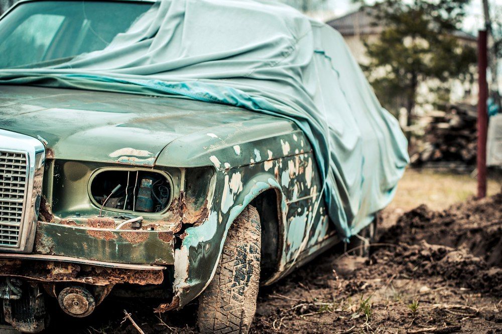 В плену у времени