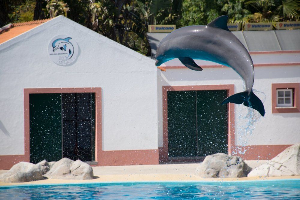 "I believe i can fly"