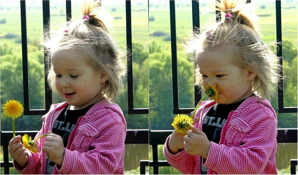 первые цветы