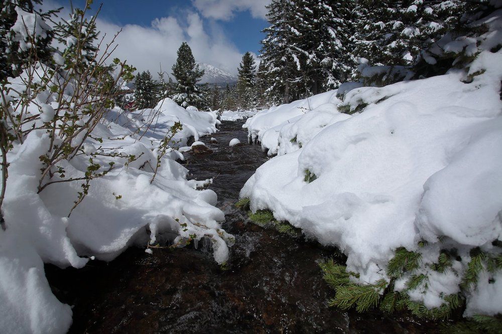 зиму перезимовали, перезимуем и весну!