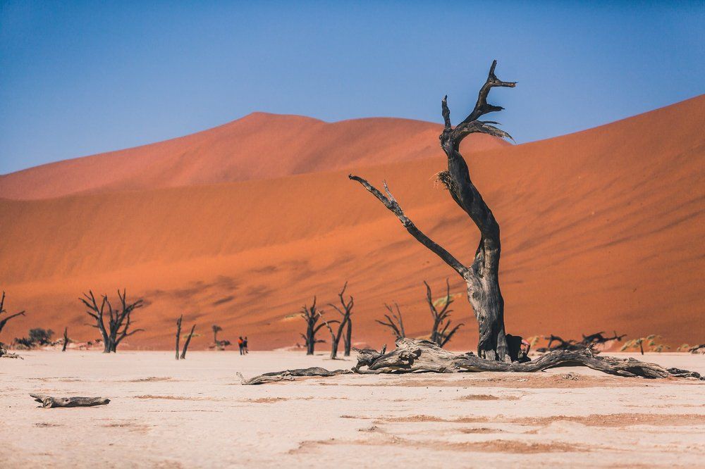 Deadvlei desert
