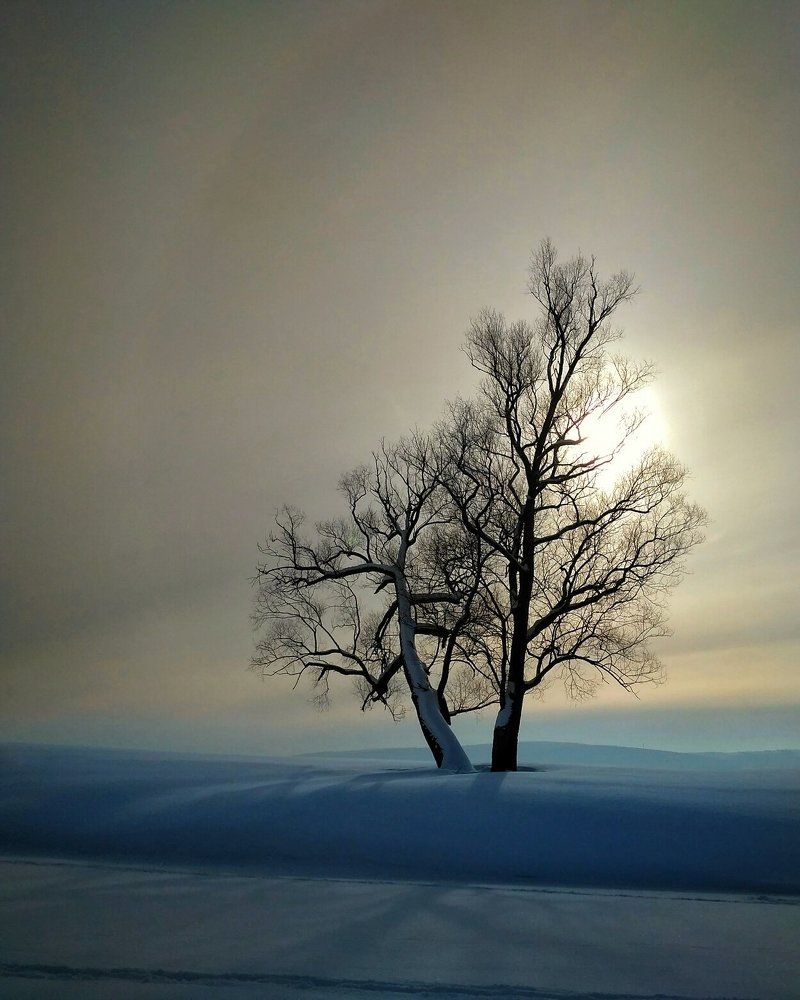 Photograph by Евгений