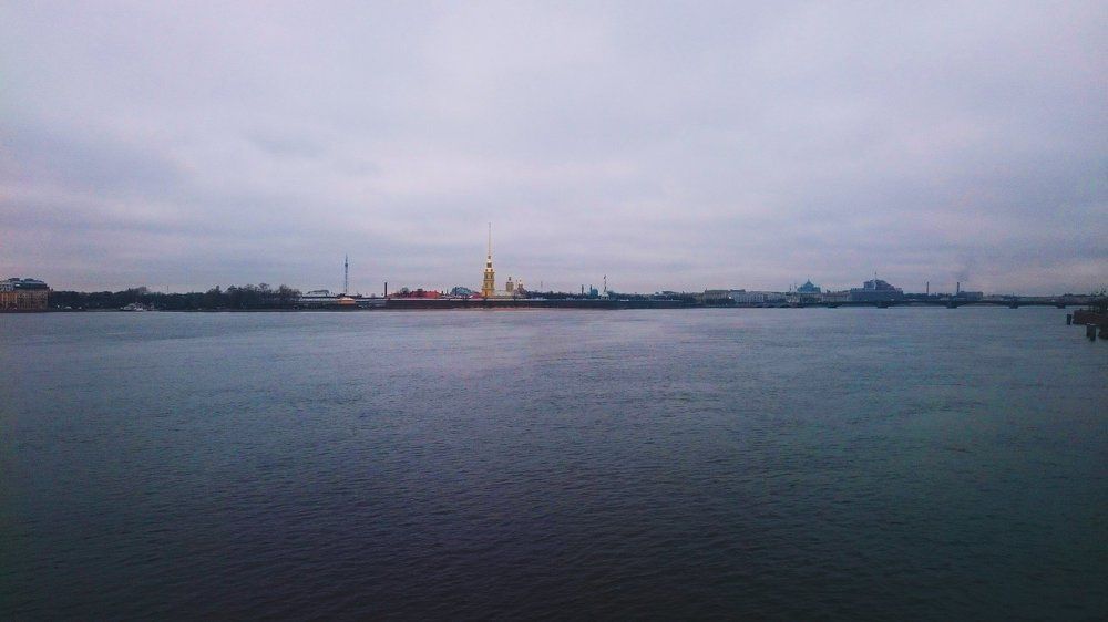 Родной серый