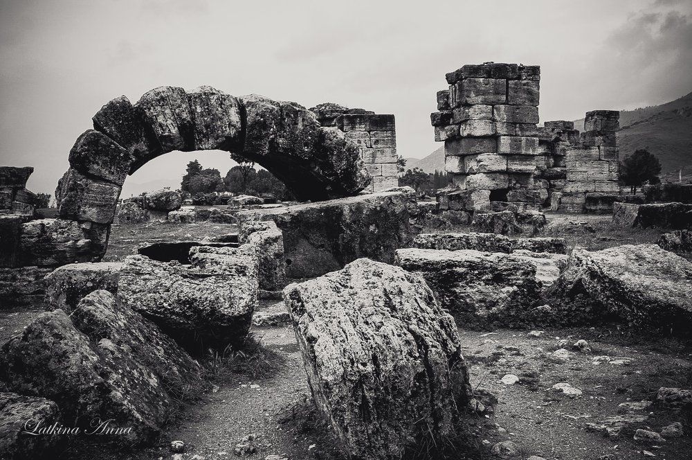 Photograph by Латкина Анна Андреевна