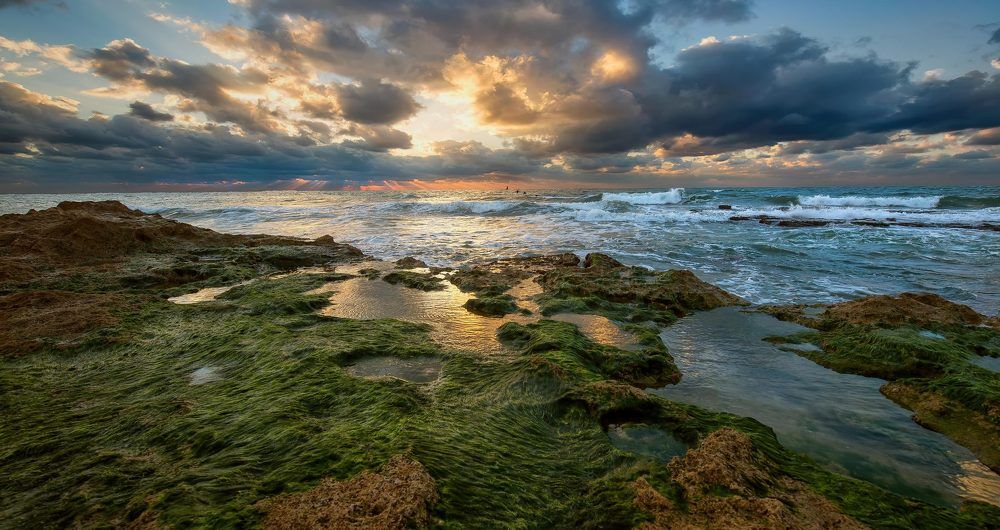 -дикий берег-