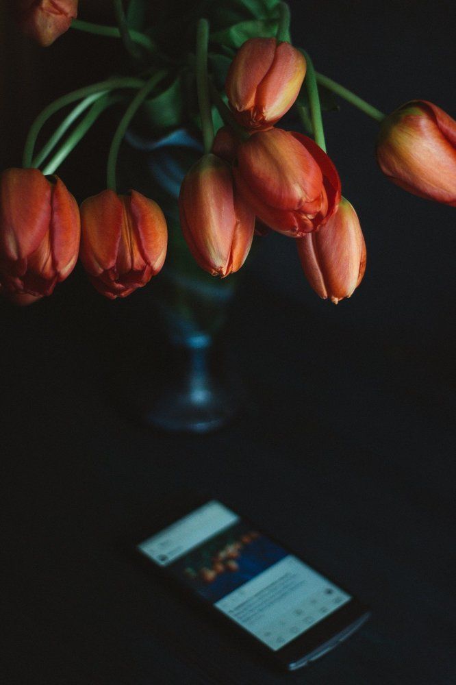 Photograph by Марина Титова