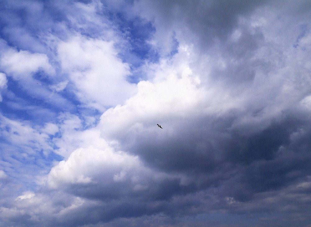 перед бурей