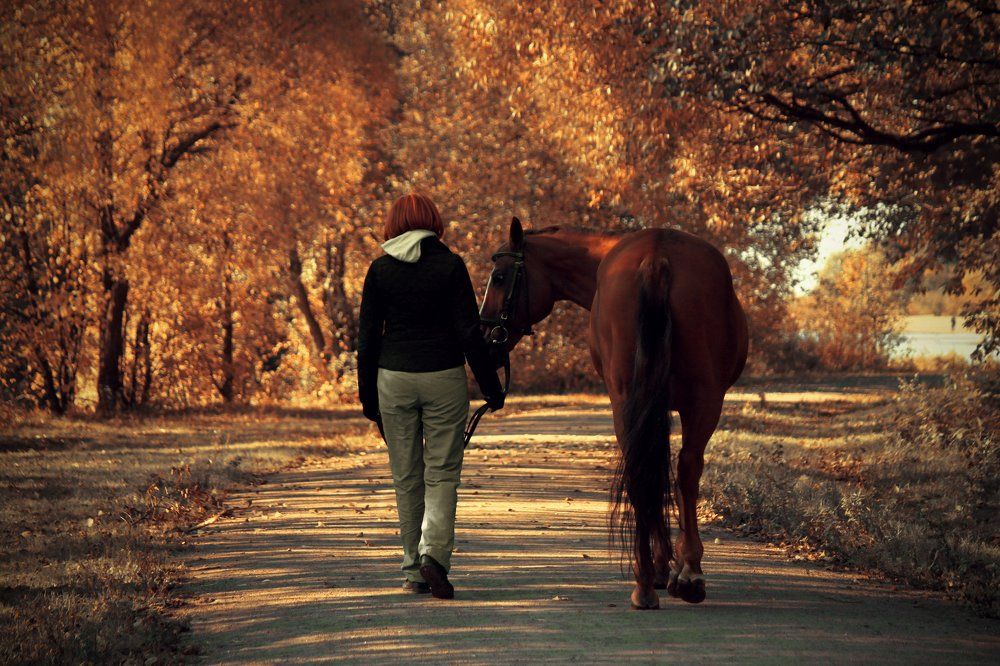 Прогулка с другом