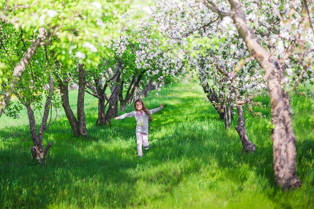 Весна пришла