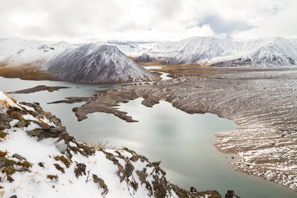 Лапа дракона