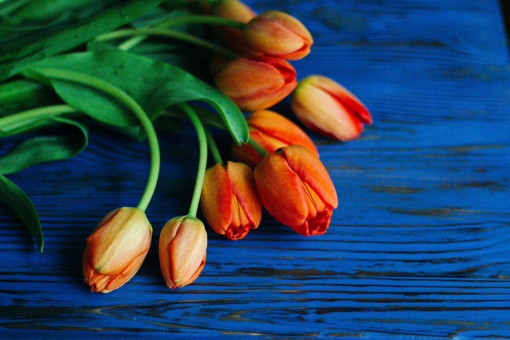 Photograph by Марина Титова