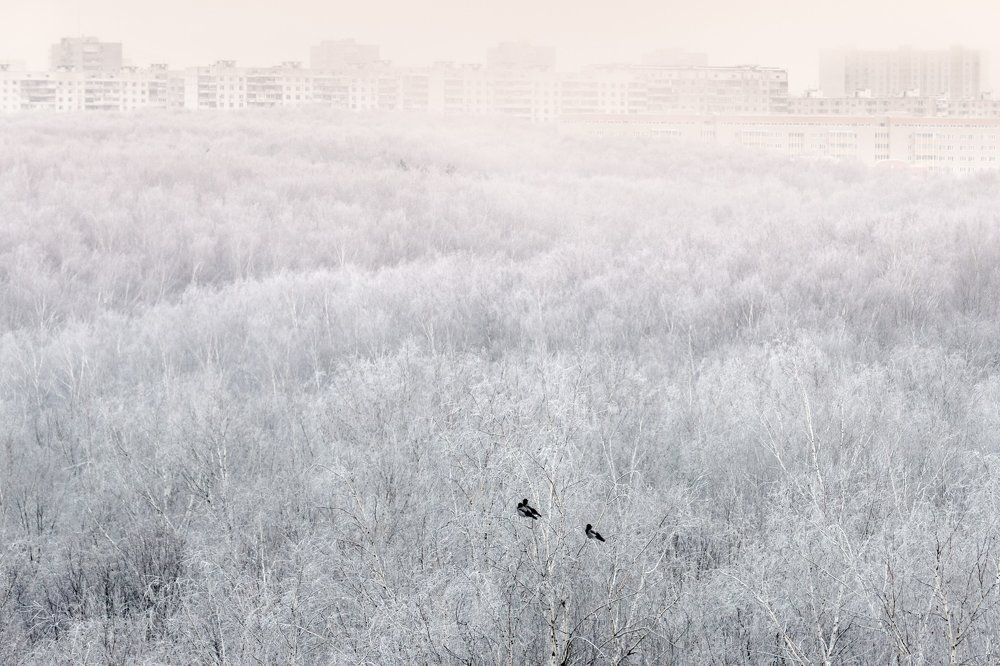 Морозное утро