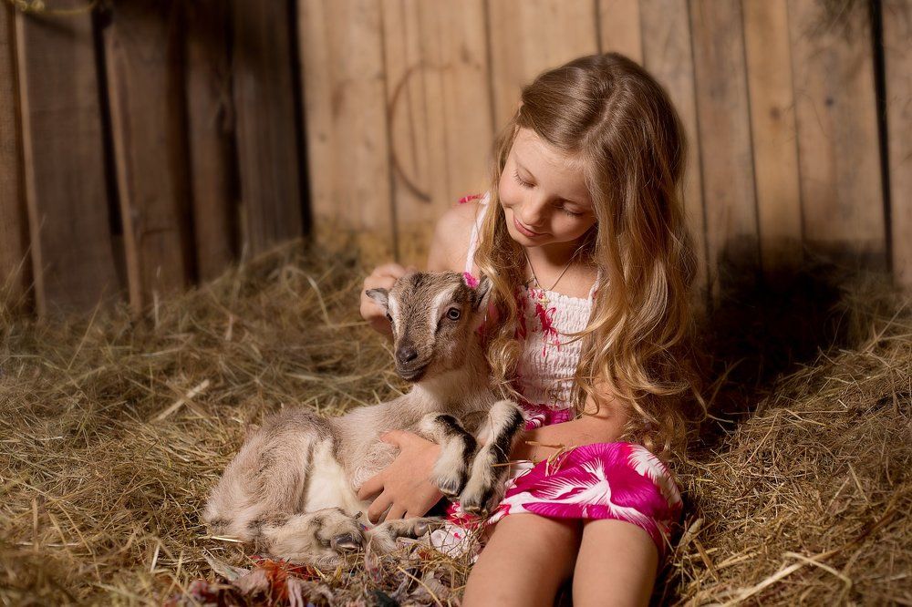 Сестрица Алёнушка и братец Иванушка