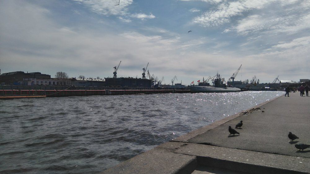 День, требующий прогулки.
