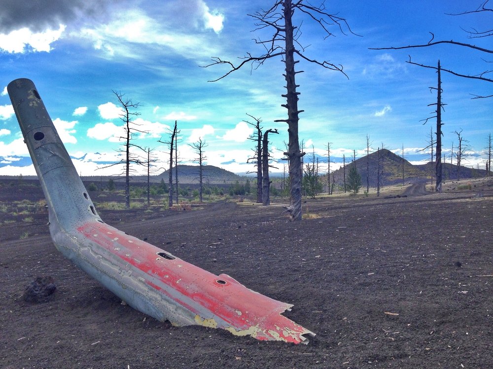 Мертвый лес