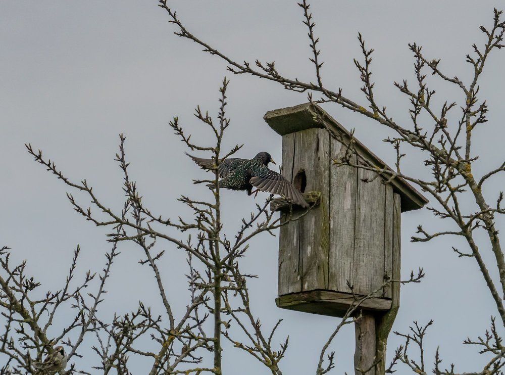 Photograph by Viktor Makarov