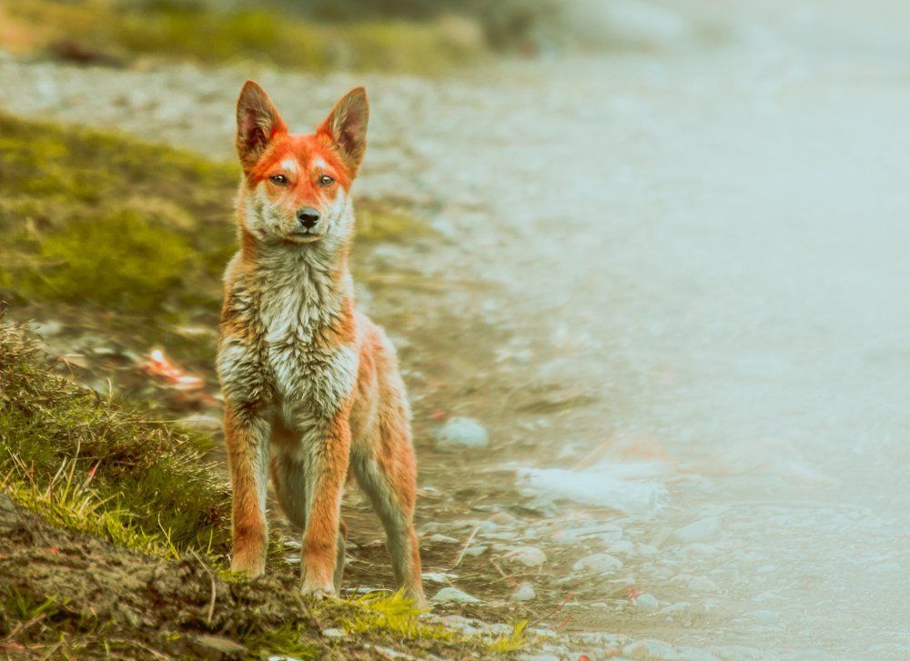 Любопытство не порок