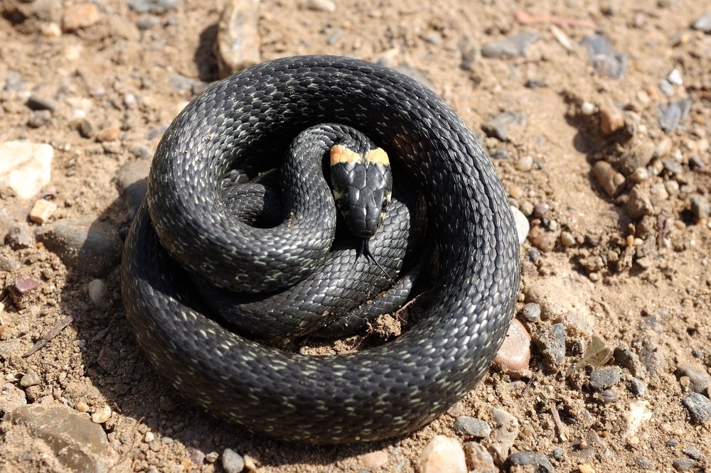 Photograph by Бондаренко Дмитрий