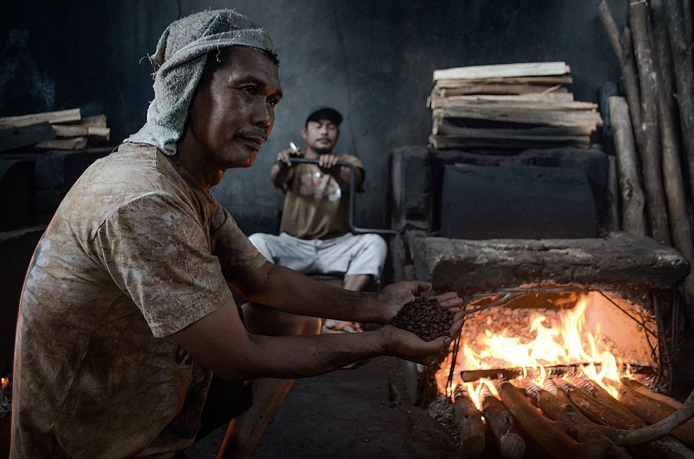 Making coffe in kerinci