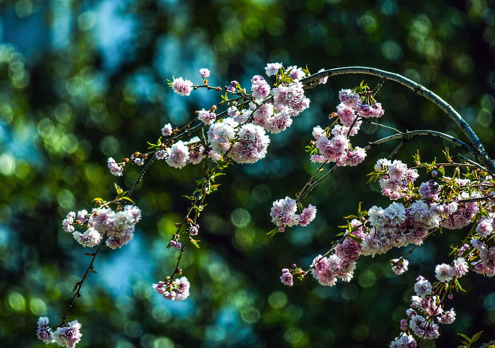 весна пришла!!!!!!