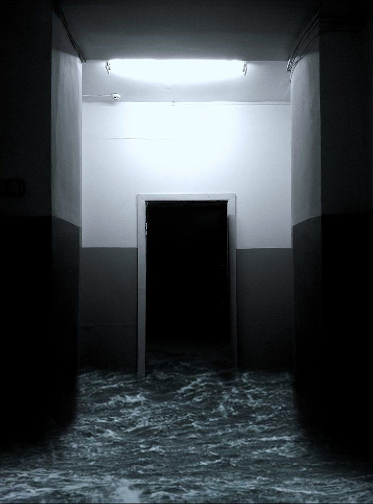 Photo #1745519