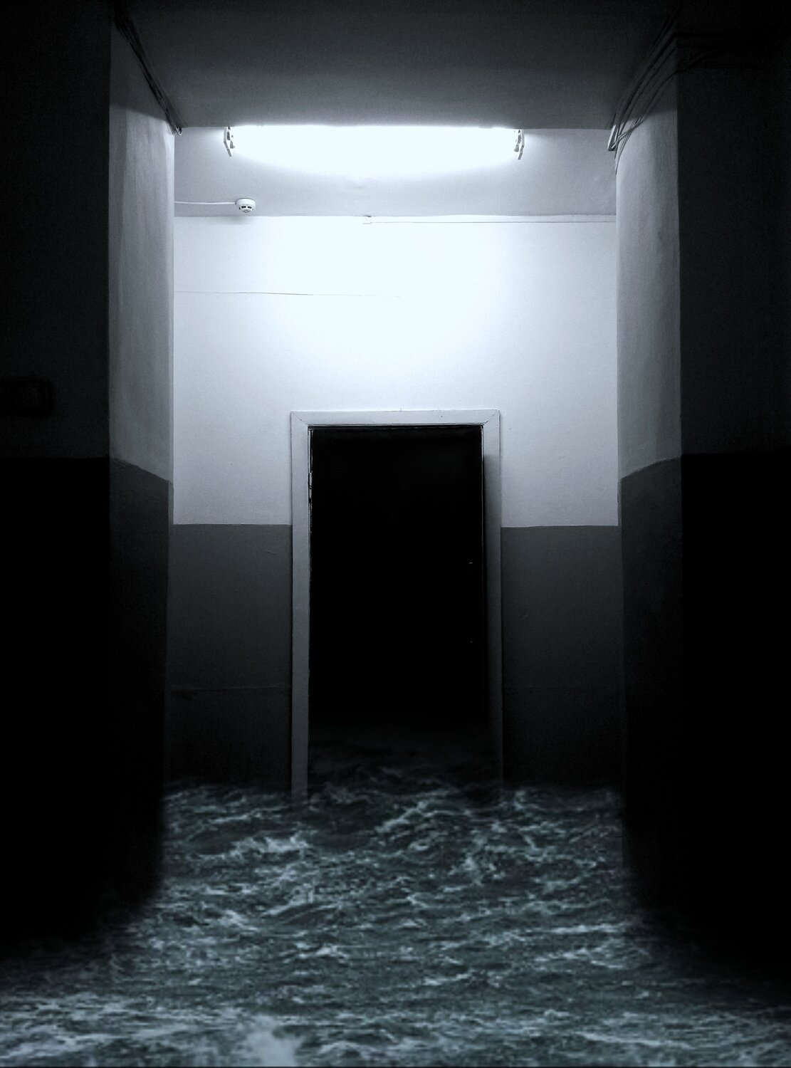 Photo #1745519