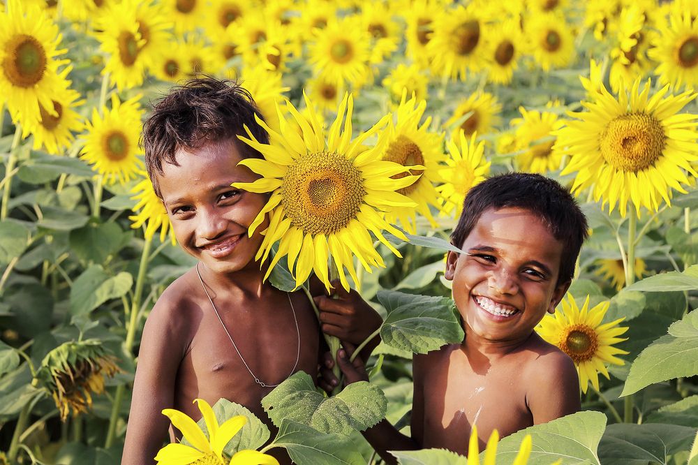 Flower of the nation