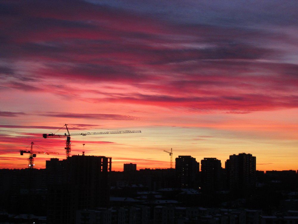 Краны на закате