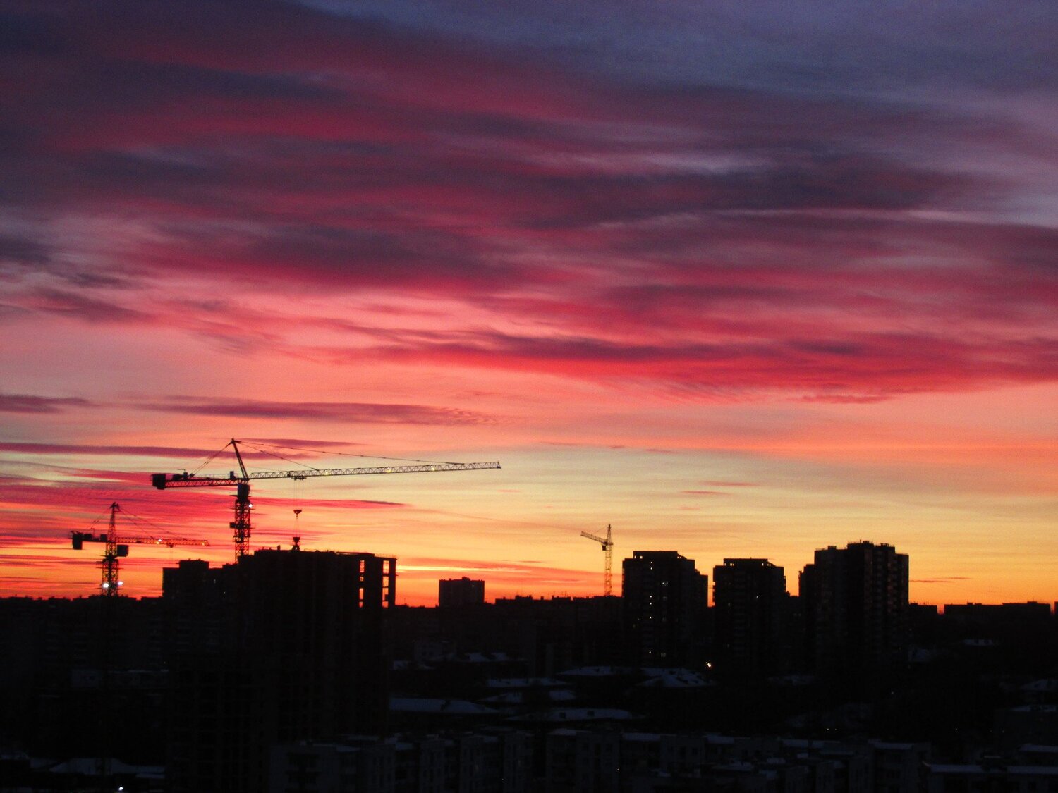 Краны на закате