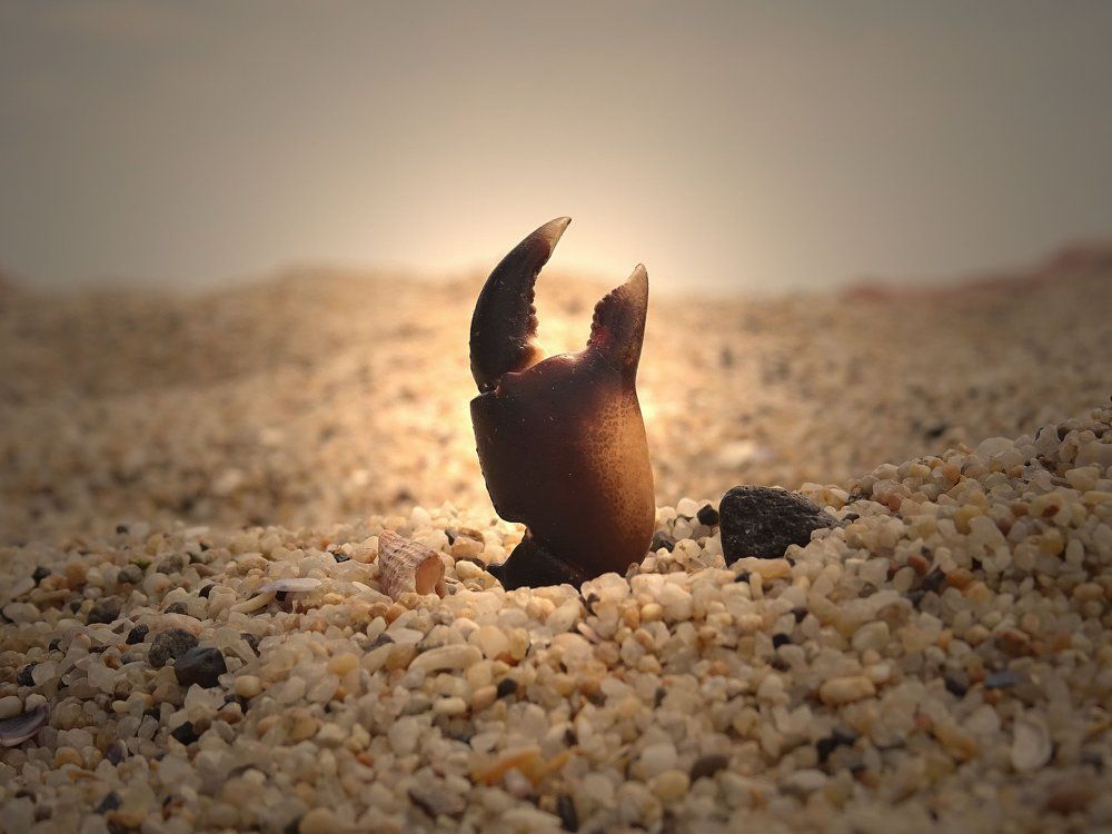 Photograph by nadejda bostanova