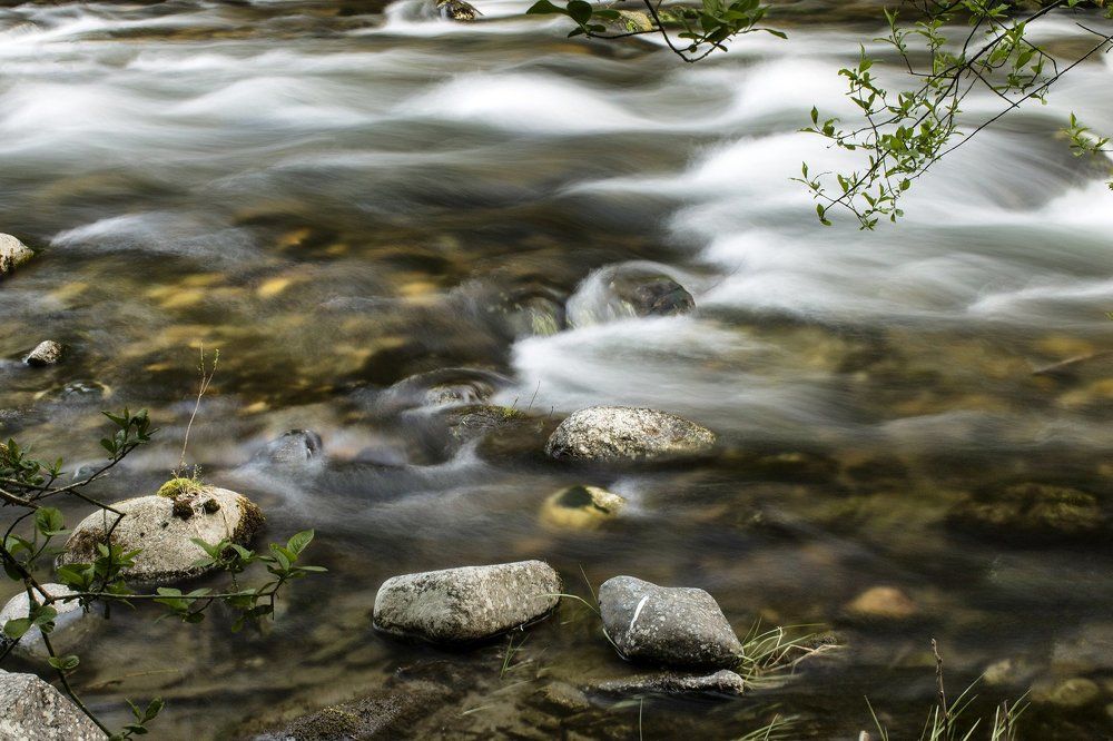 Река в лесу