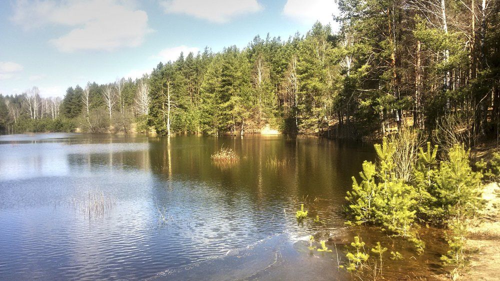 Красочный берег реки