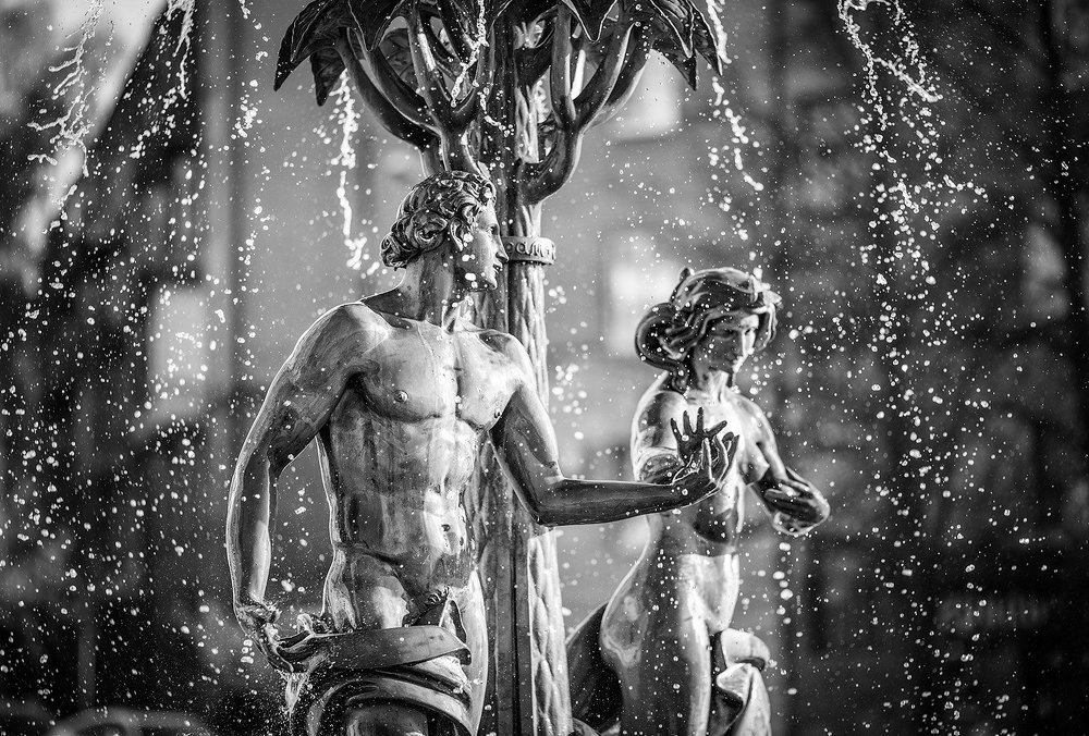 Застывшая нежность